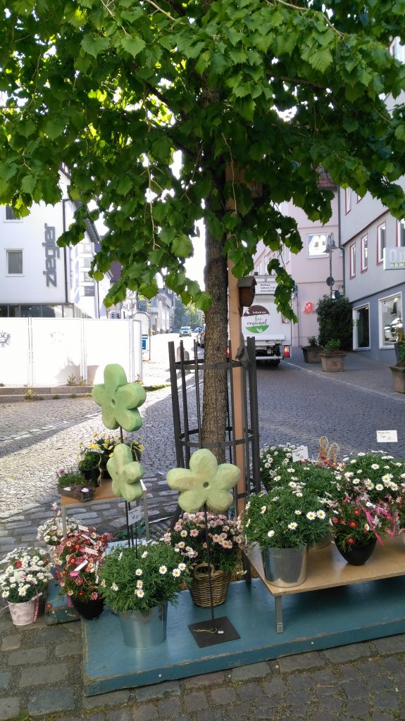 Ihr Blumenladen in der Altstadt Leonberg