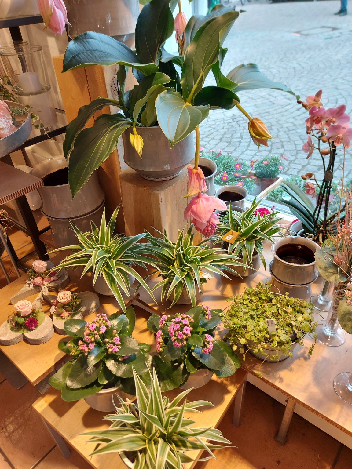 Ihr Blumenladen in der Altstadt Leonberg